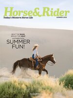 Horse & Rider
